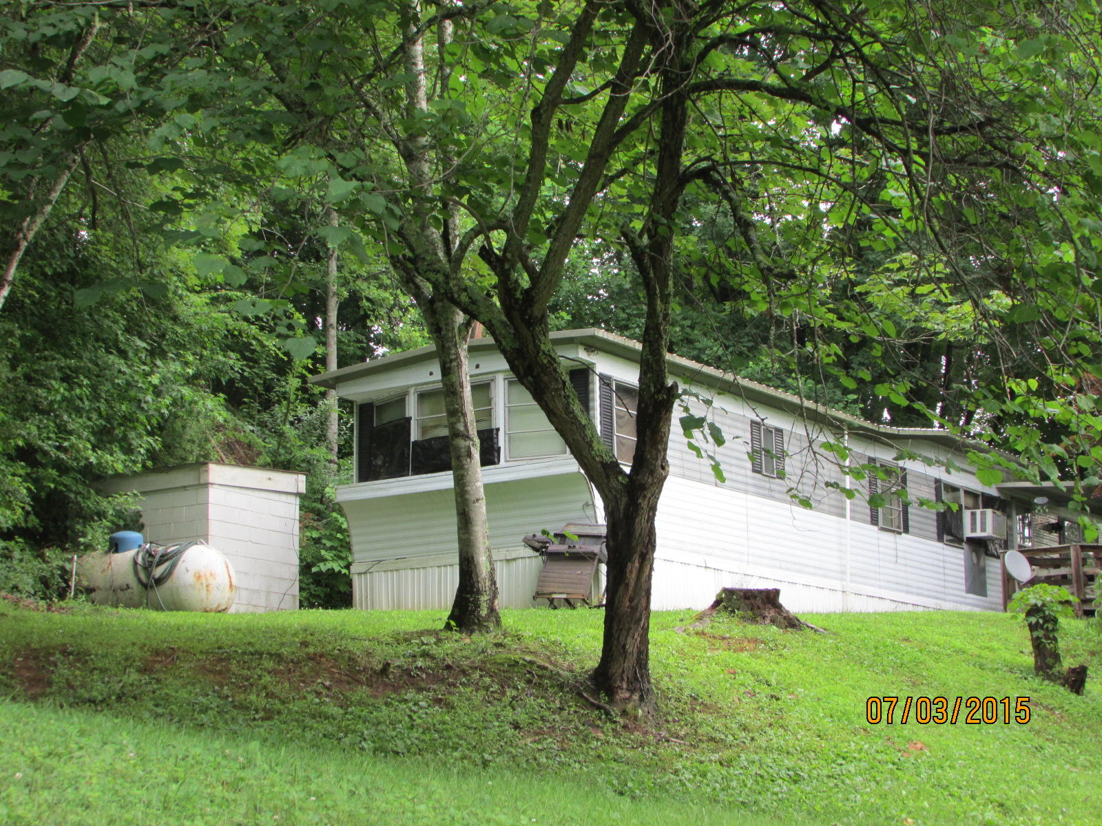 3925 Freels Road Friendsville, TN 37737 - Photo 2 of 7 014