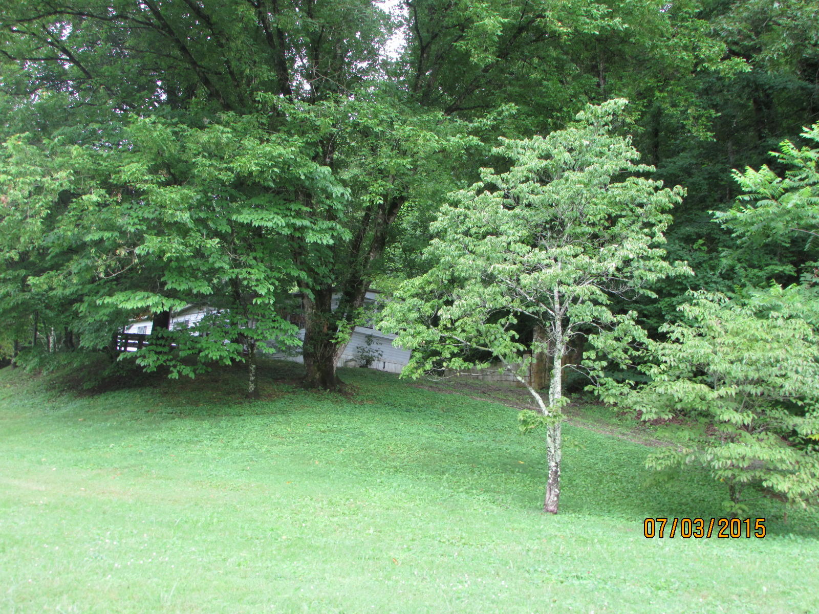 3925 Freels Road Friendsville, TN 37737 - Photo 5 of 7 018