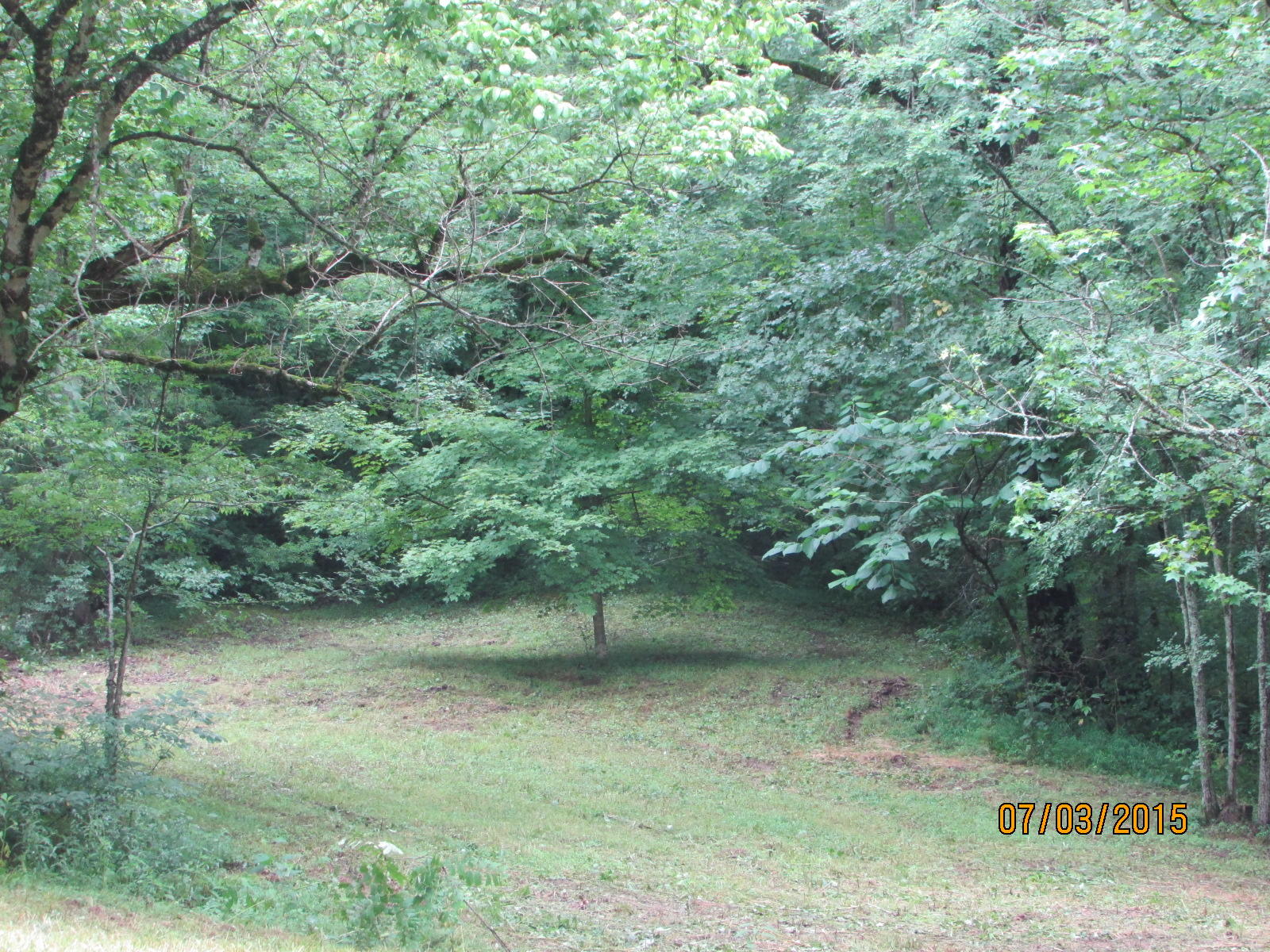 3925 Freels Road Friendsville, TN 37737 - Photo 6 of 7 019