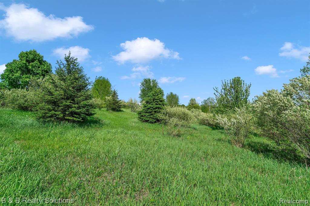 2864 North Blacks Corners Road Imlay City, MI 48444 - Photo 40 of 60 Gallery Image 40