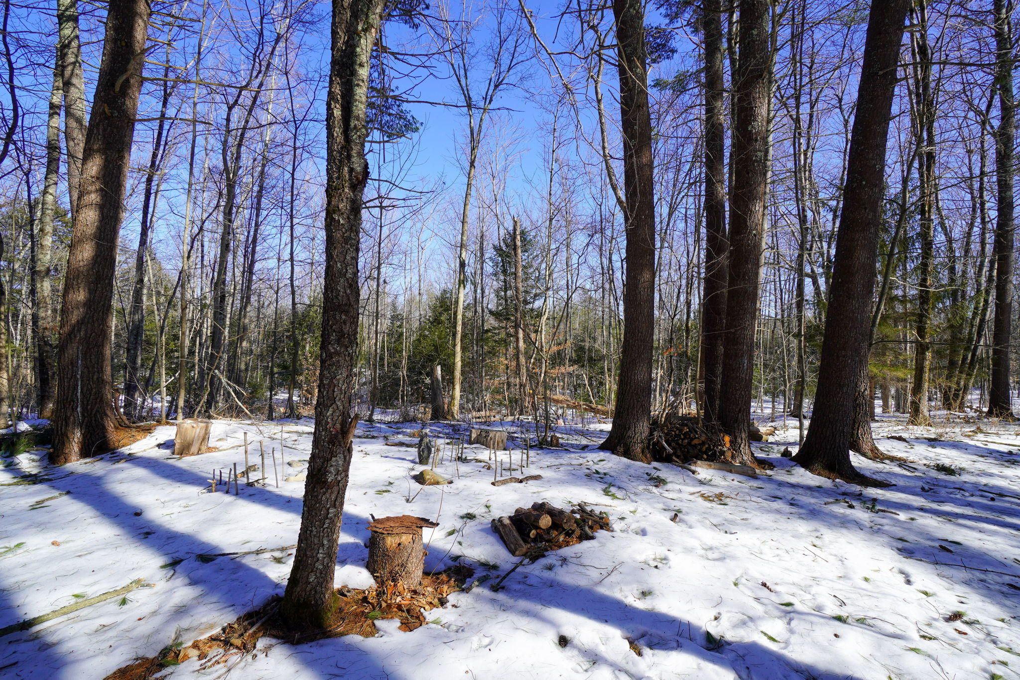 469 Duck Pond Road Westbrook, ME 04092 - Photo 42 of 54 Wooded, Peaceful Backyard