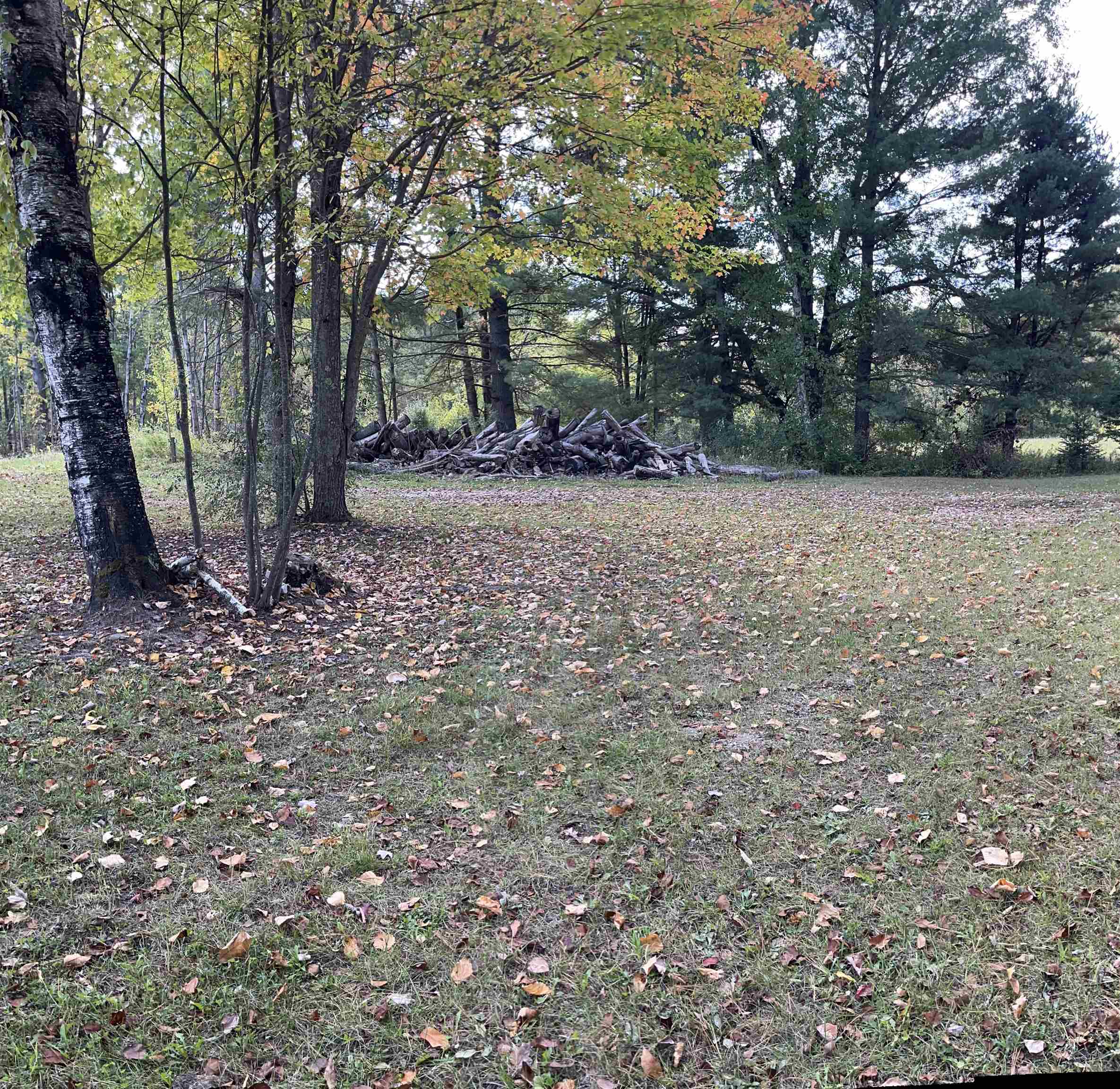 2670 Bass Lake Road Lupton, MI 48635 - Photo 43 of 48
