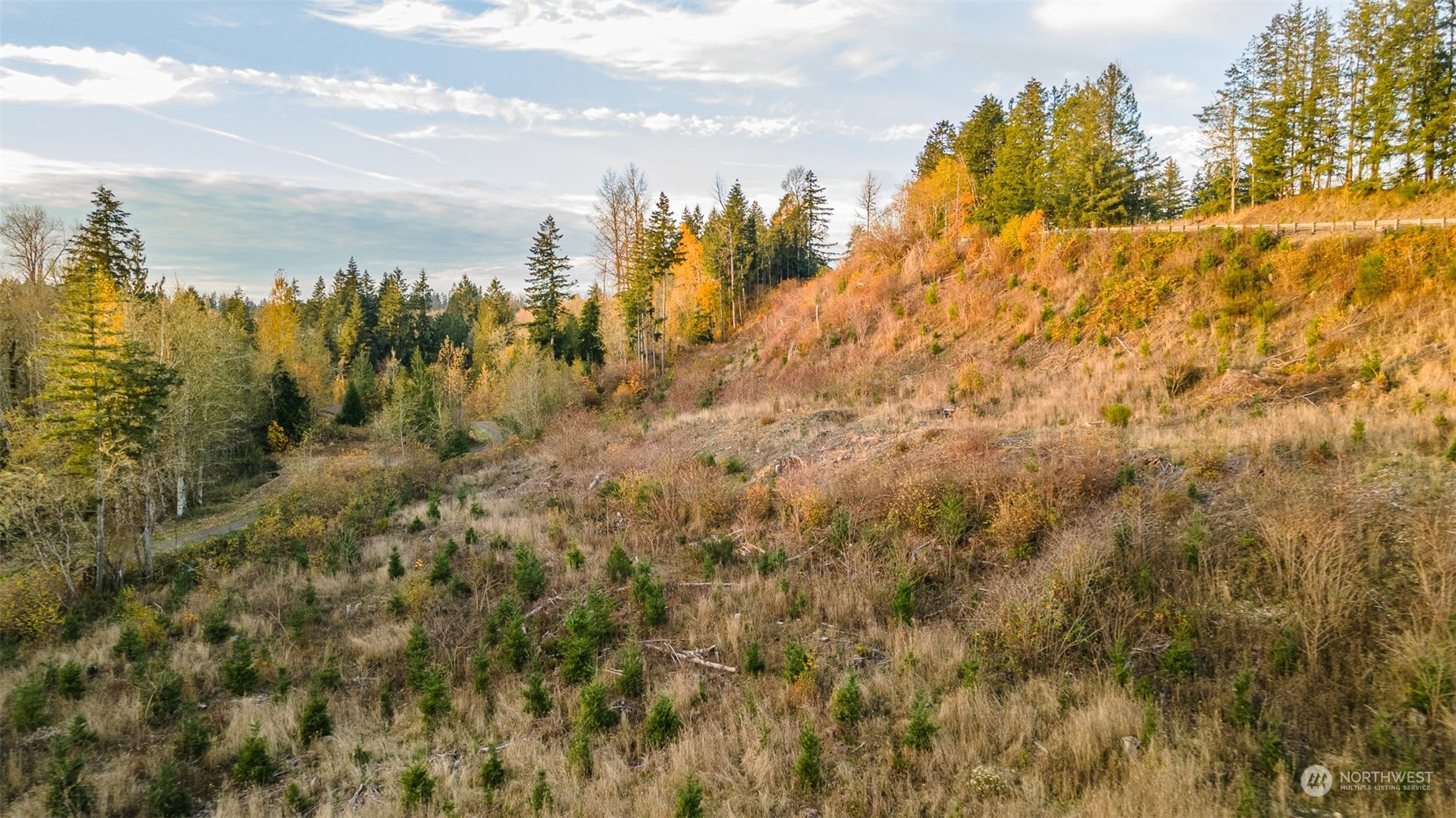 0 Brim Road Onalaska, WA 98570 - Photo 12 of 15 a view of a city