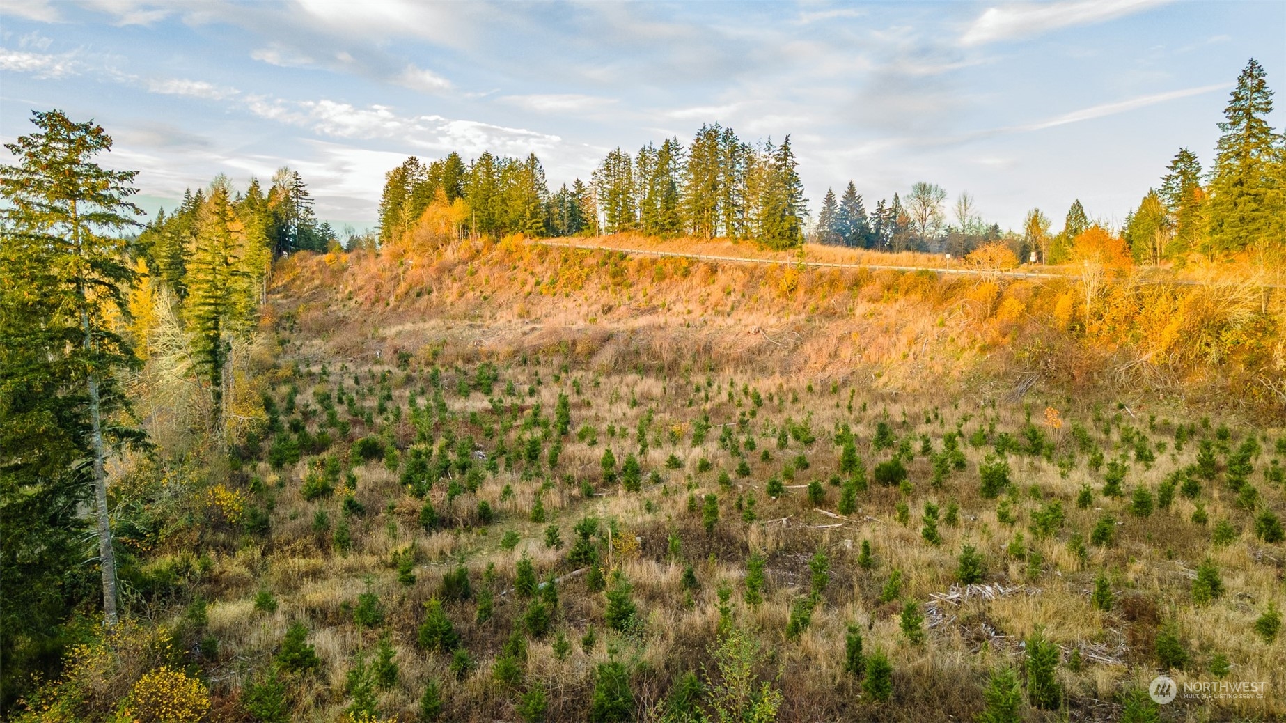 0 Brim Road Onalaska, WA 98570 - Photo 7 of 15 a view of an ocean view