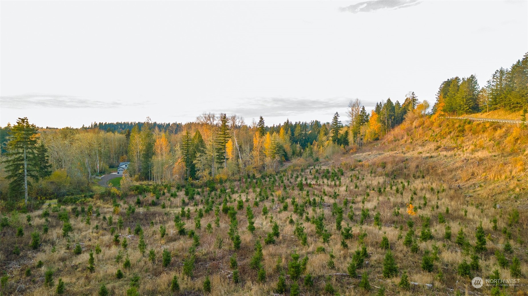 0 Brim Road Onalaska, WA 98570 - Photo 10 of 15 a view of lake and mountain