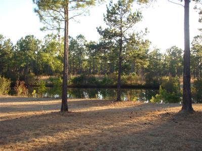 901 Gilbert Road Southeast Bolivia, NC 28422 - Photo 12 of 16 Additional Photo