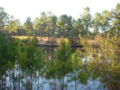 901 Gilbert Road Southeast Bolivia, NC 28422 - Photo 16 of 16 Additional Photo