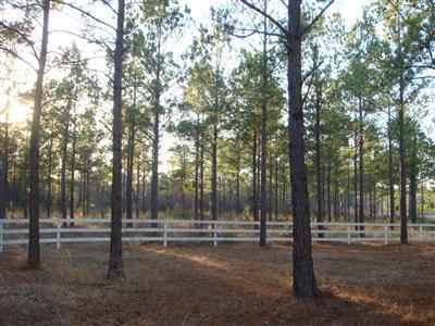901 Gilbert Road Southeast Bolivia, NC 28422 - Photo 5 of 16 Additional Photo
