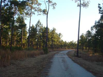 901 Gilbert Road Southeast Bolivia, NC 28422 - Photo 9 of 16 Additional Photo