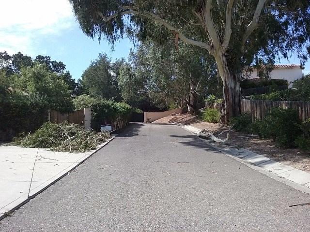 765 Alamo Pintado Road Solvang, CA 93463 - Photo 16 of 21 a view of a street with a bench and trees