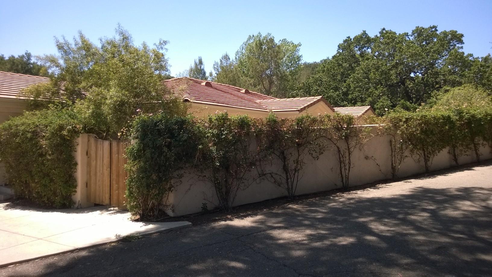 765 Alamo Pintado Road Solvang, CA 93463 - Photo 19 of 21 a view of a backyard of the house