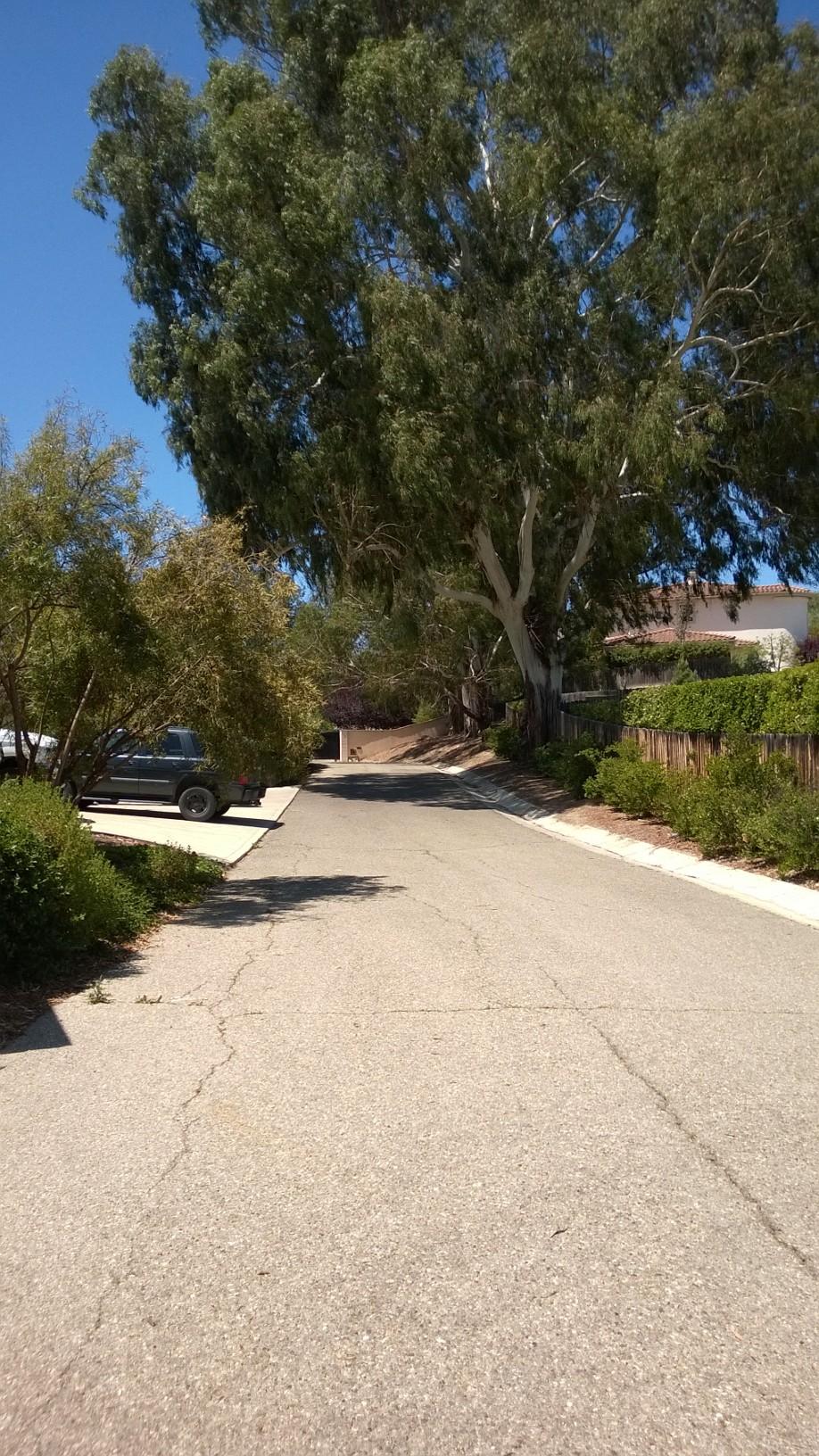 765 Alamo Pintado Road Solvang, CA 93463 - Photo 21 of 21 a view of outdoor space and yard