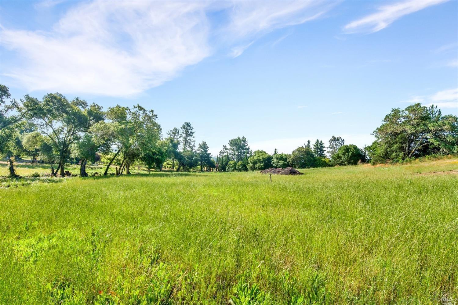 1100 Lytton Springs Road Healdsburg, CA 95448 - Photo 1 of 10 a view of field with tall trees