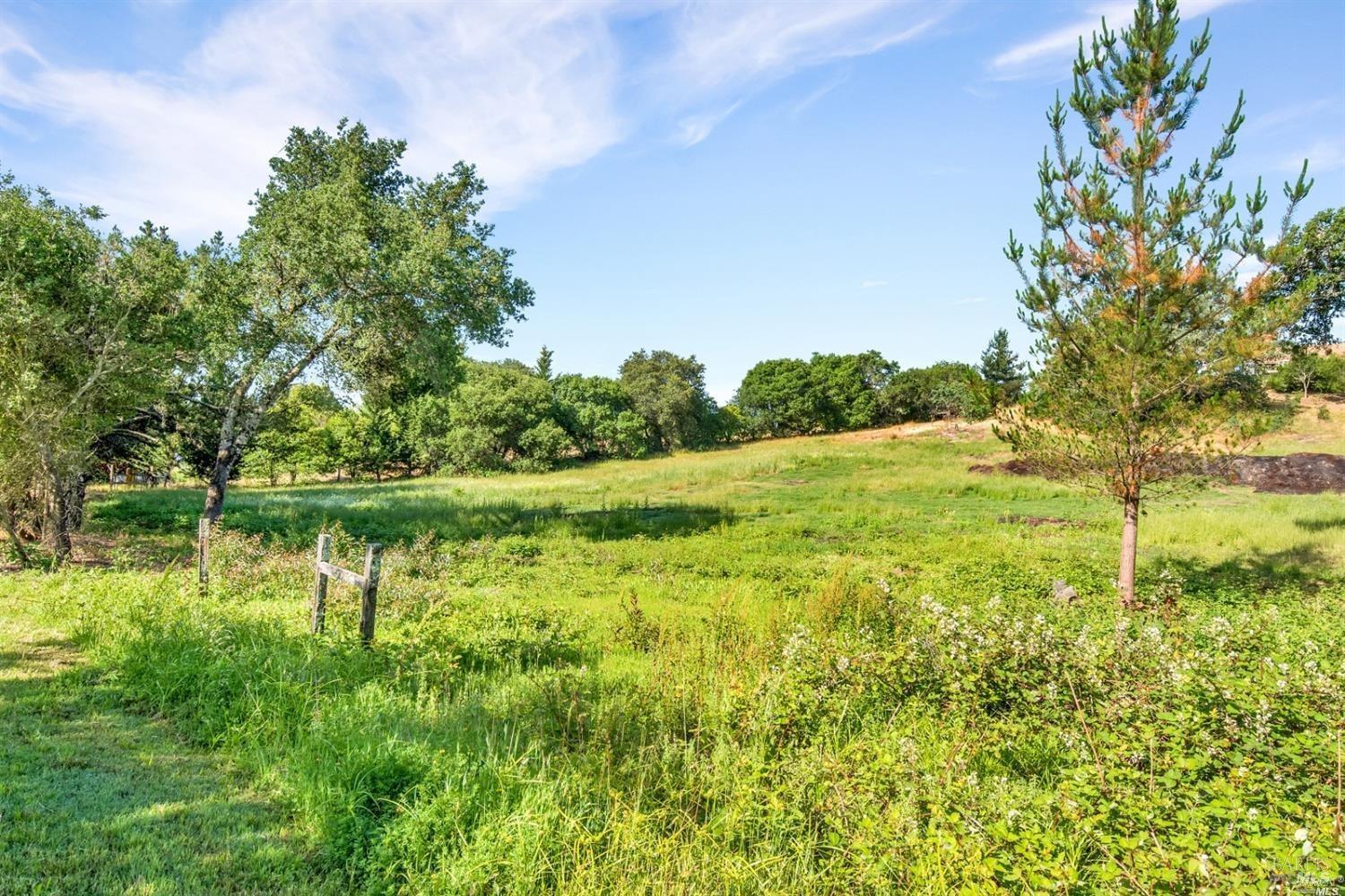 1100 Lytton Springs Road Healdsburg, CA 95448 - Photo 4 of 10 a view of a lake with a yard