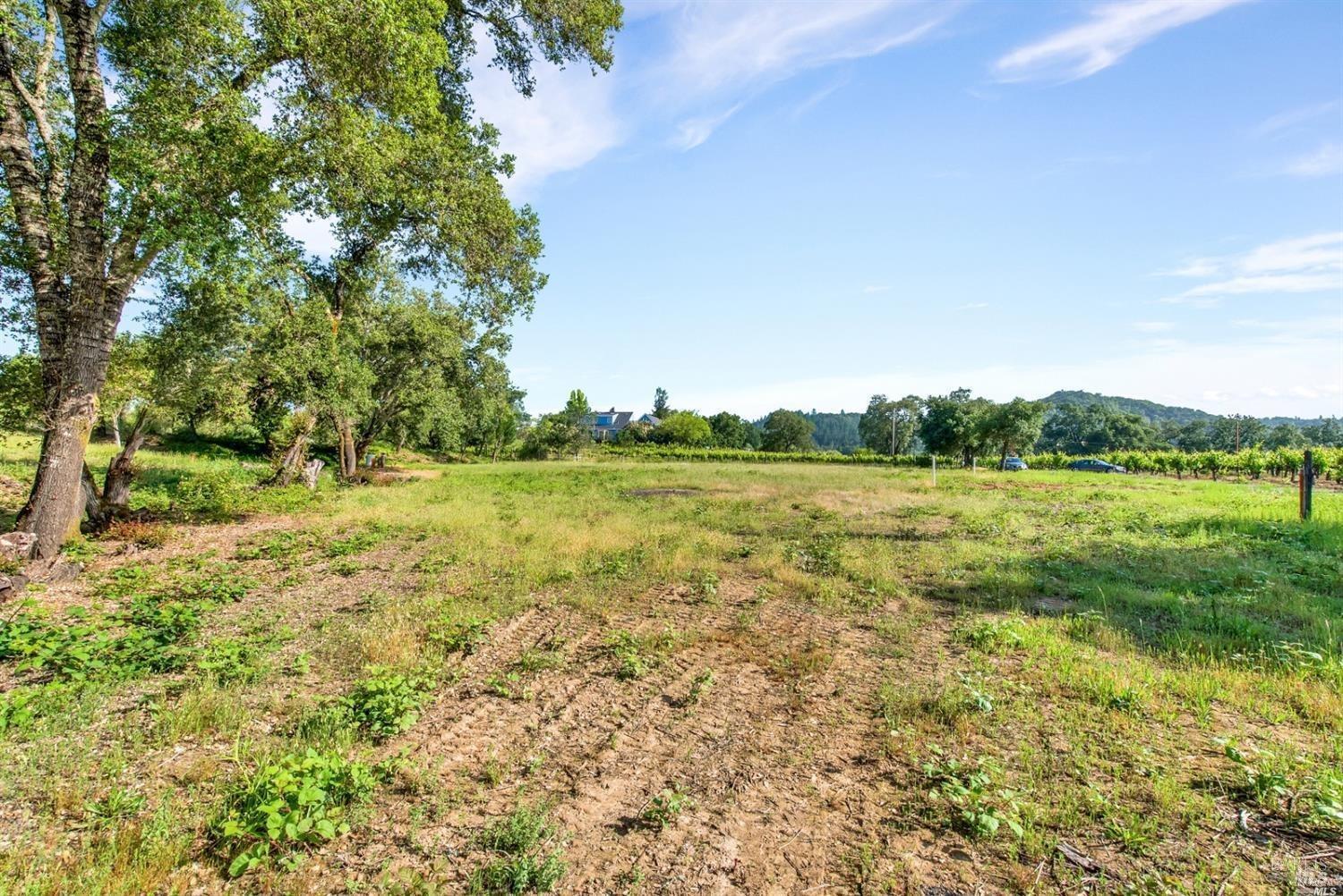 1100 Lytton Springs Road Healdsburg, CA 95448 - Photo 5 of 10 a view of outdoor space and yard