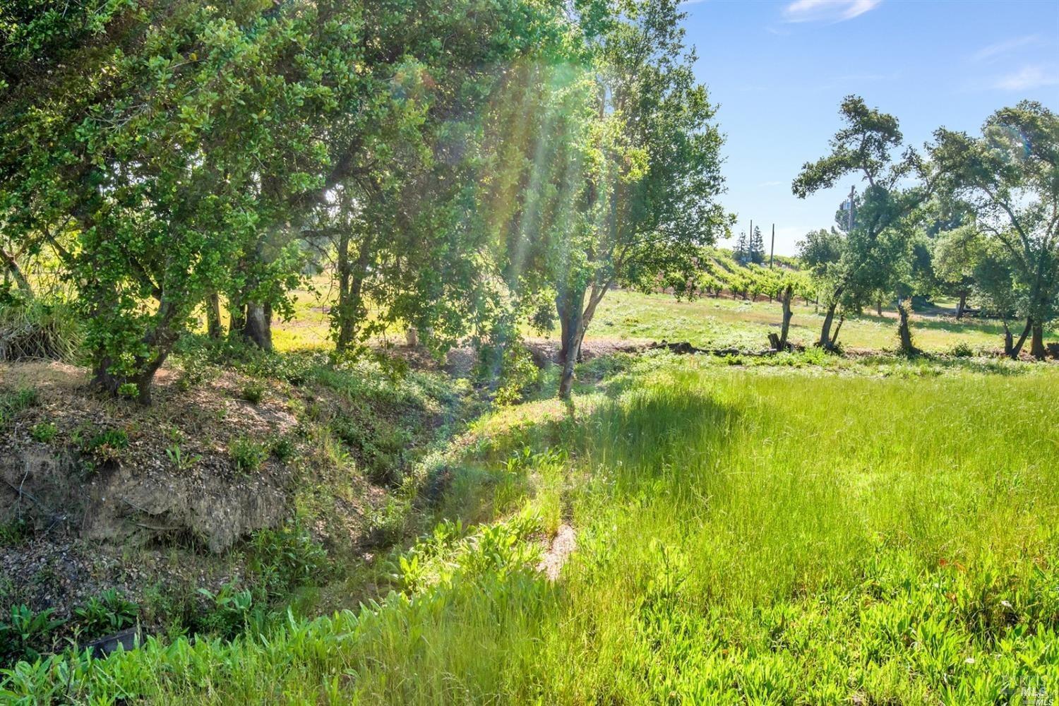 1100 Lytton Springs Road Healdsburg, CA 95448 - Photo 7 of 10 a view of yard with green space