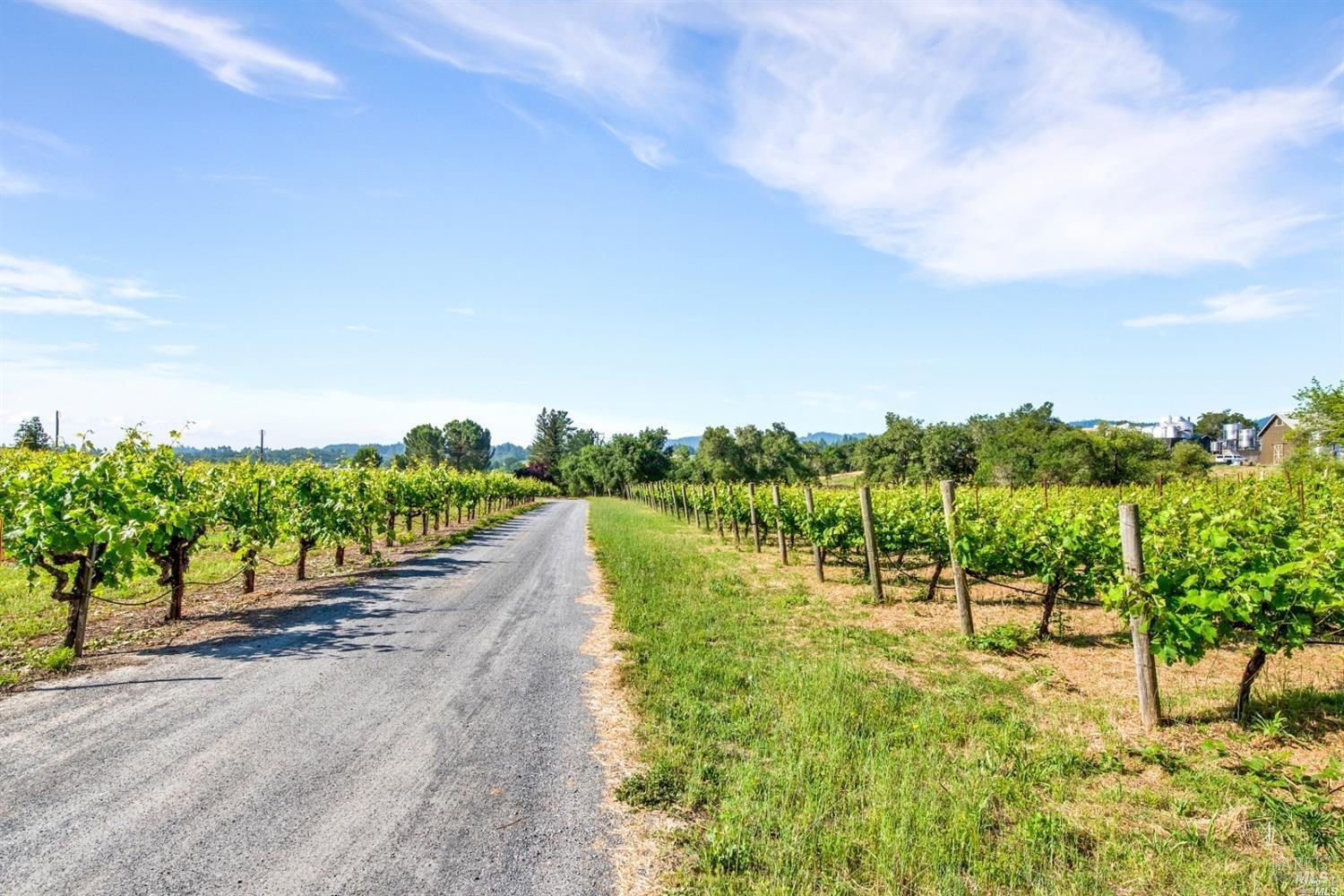 1100 Lytton Springs Road Healdsburg, CA 95448 - Photo 9 of 10 a view of a street with a yard