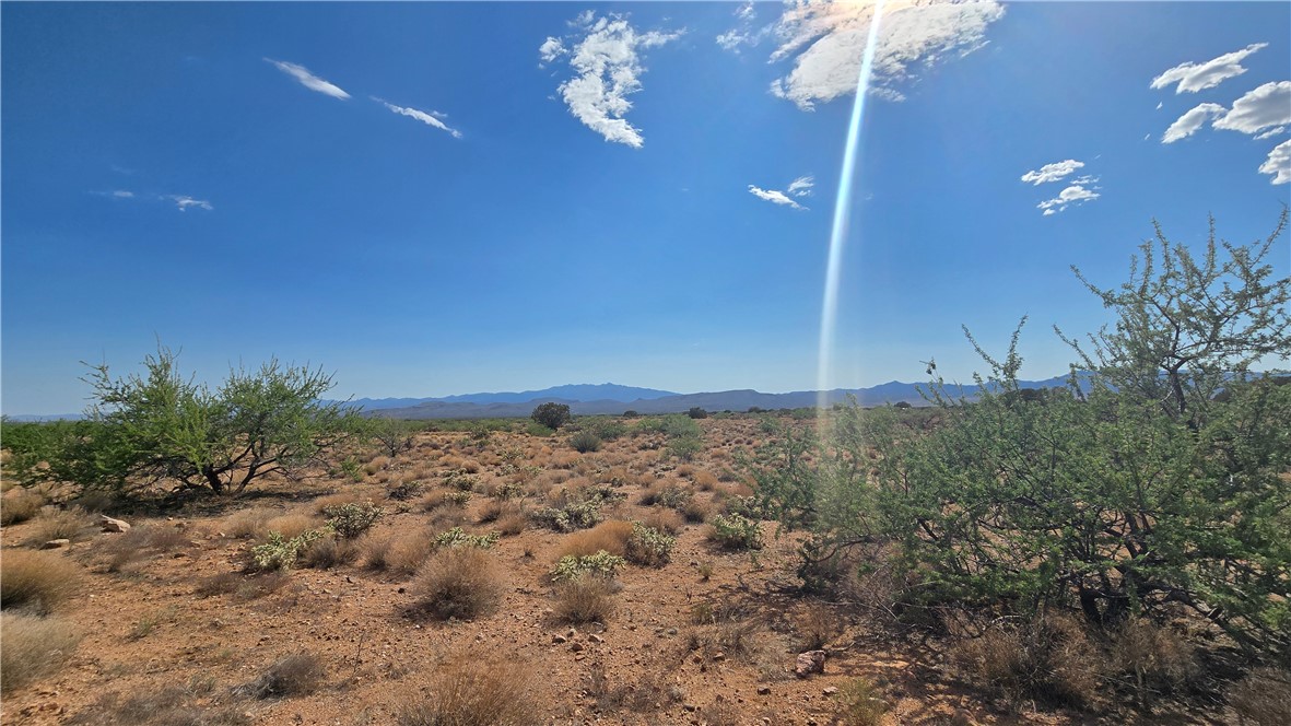 353-36-158 North Tyree Road Hackberry, AZ 86411 - Photo 1 of 19