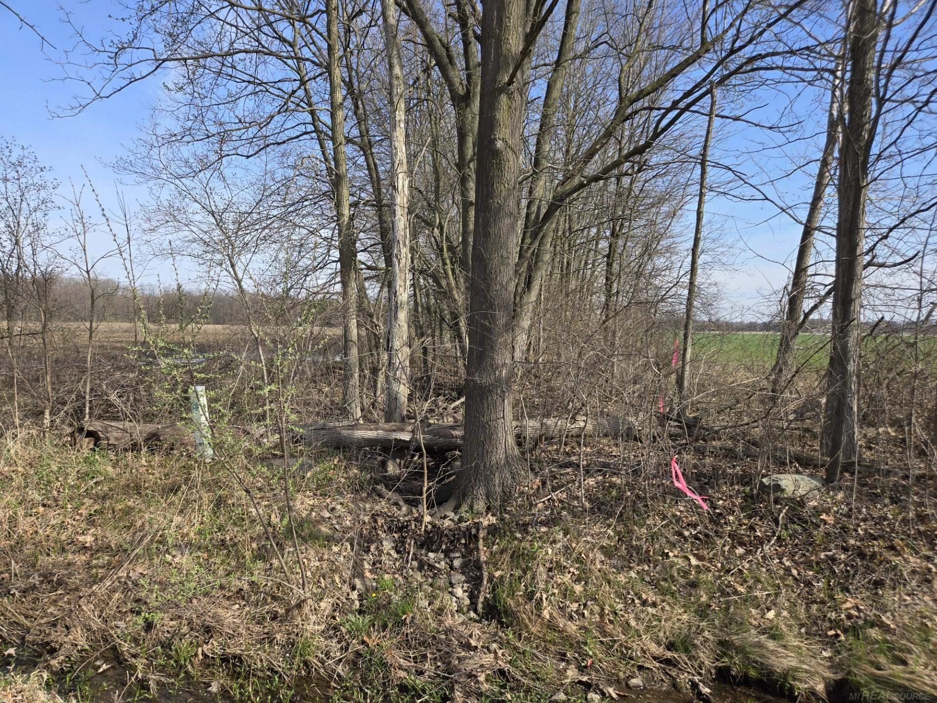 0 Weber (lot B) Road Columbus, MI 48063 - Photo 4 of 14
