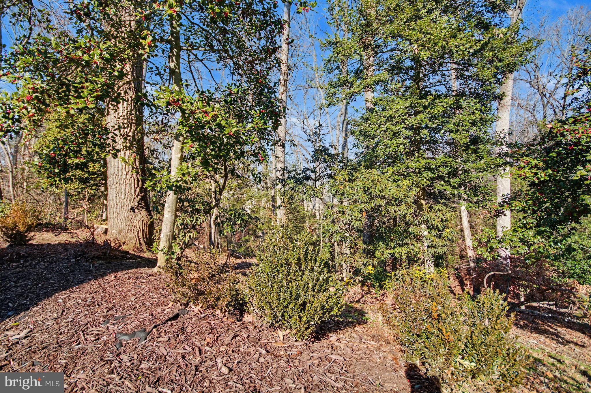 934 Riversedge Circle Annapolis, MD 21401 - Photo 19 of 19