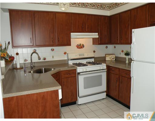 271 Nebula Road Piscataway, NJ 08854 - Photo 3 of 10 Gallery Image 3