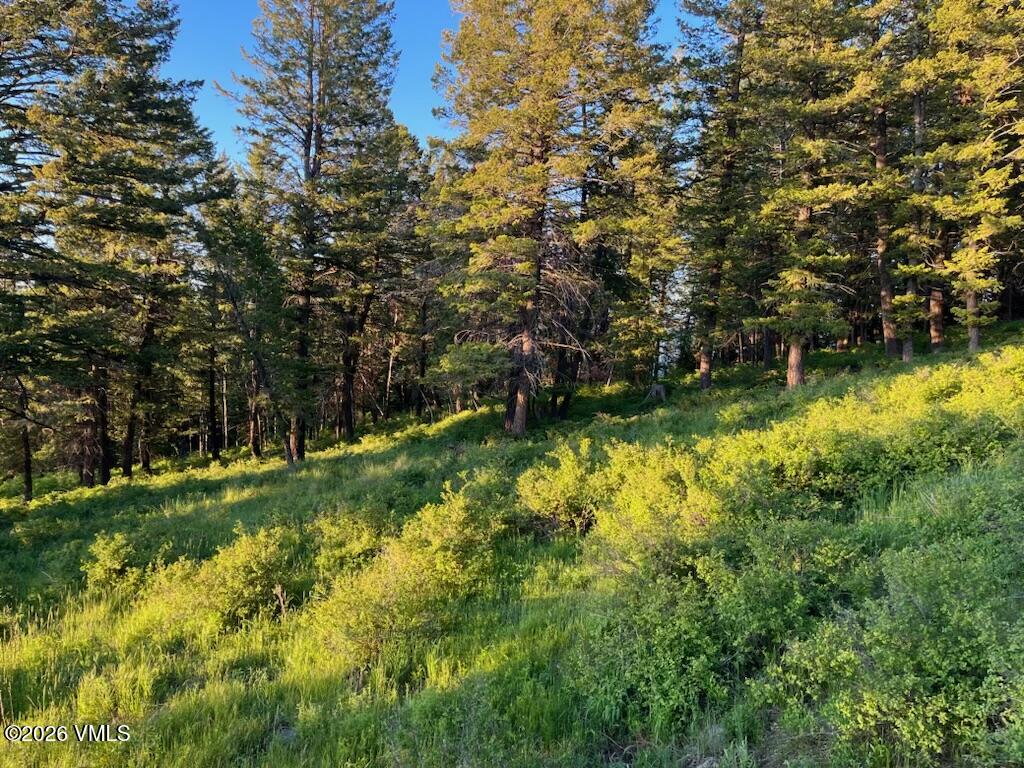 107 Cavesson Court Edwards, CO 81632 - Photo 2 of 7 IMG_0713 107 cavesson