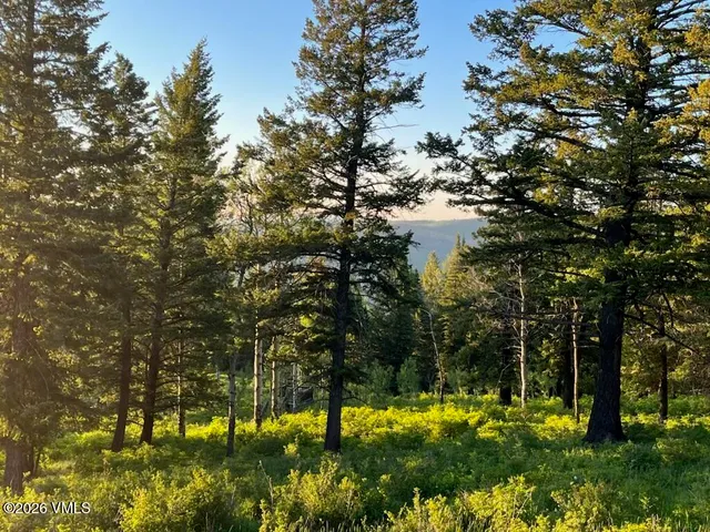 $450,000 | 107 Cavesson Court, Edwards, CO 81632