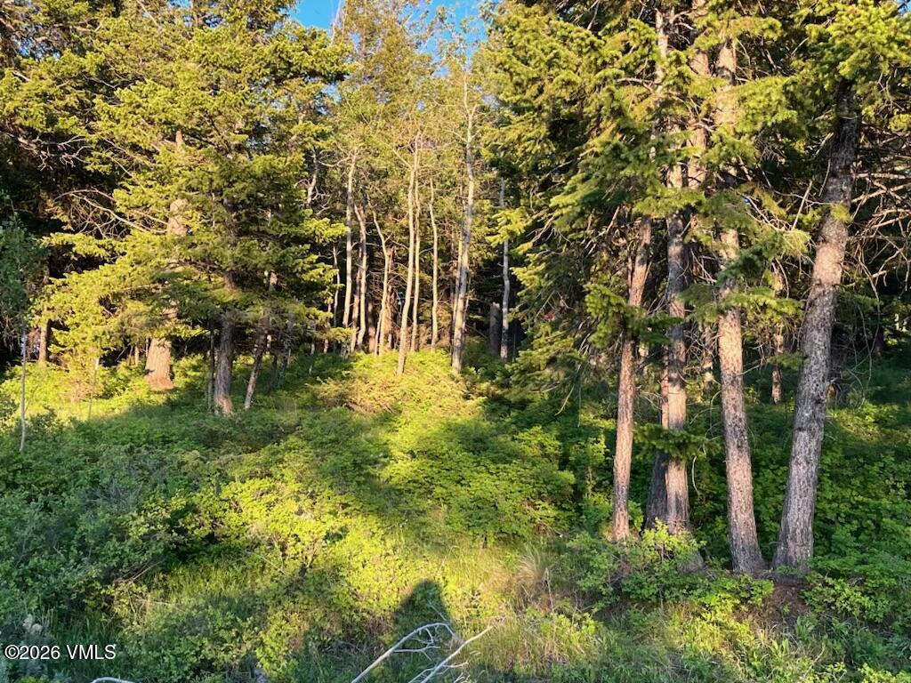 107 Cavesson Court Edwards, CO 81632 - Photo 5 of 7 IMG_0716 107 cavesson