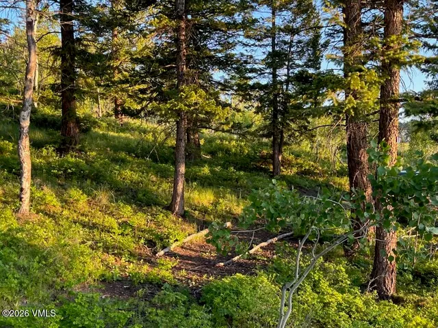 $450,000 | 107 Cavesson Court, Edwards, CO 81632