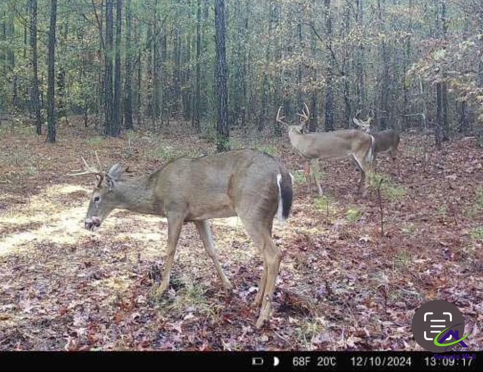 915 Sunhill Road Sandersville, GA 31082 - Photo 10 of 24