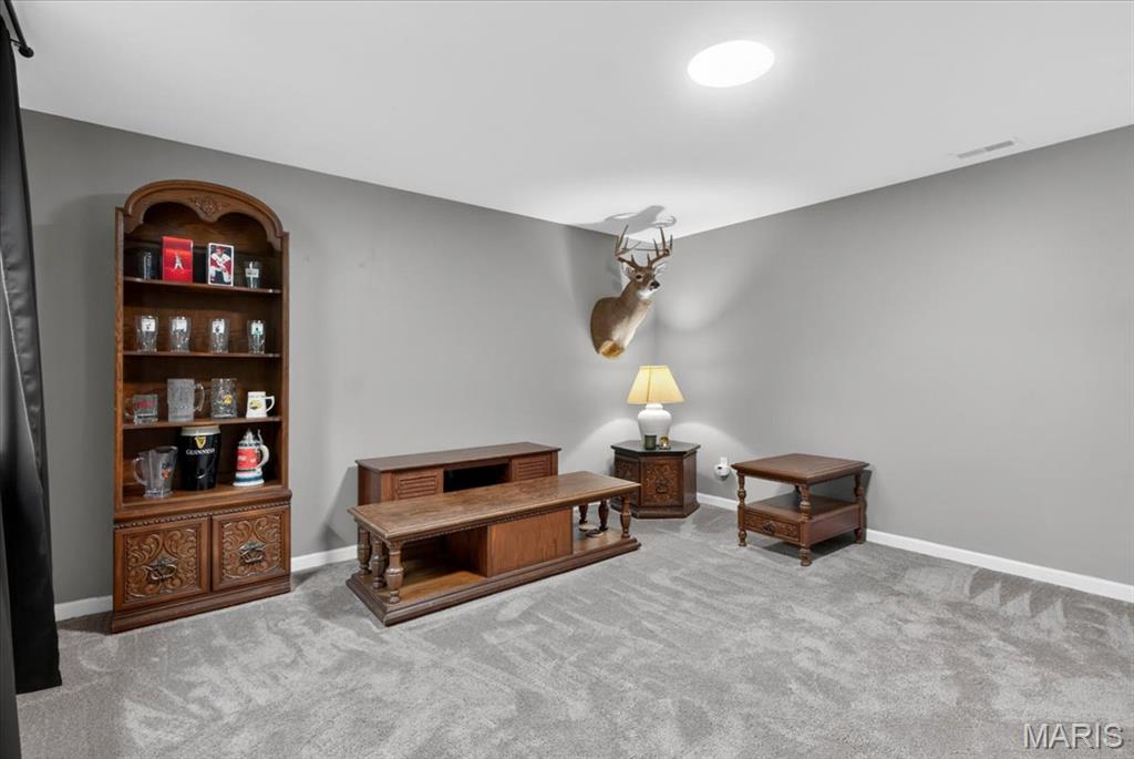 8300 Crystal Ridge Court Cedar Hill, MO 63016 - Photo 26 of 40