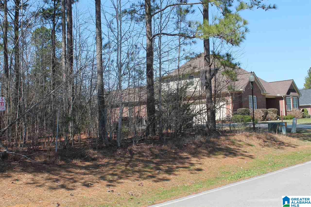 0 Clarendon Road, Unit LOT #65 Cullman, AL 35057 - Photo 5 of 7