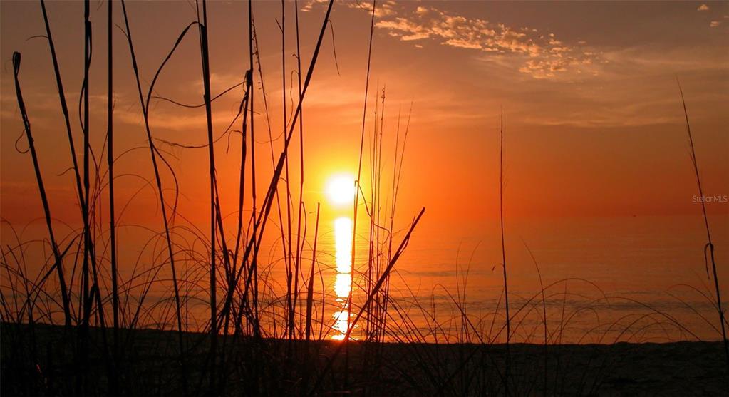 4380 Exeter Drive, Unit 101 Longboat Key, FL 34228 - Photo 81 of 81