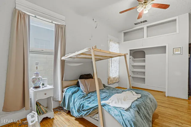 a living room with furniture a rug and a potted plant