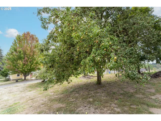 $729,900 | 35706 Northwest 14th Avenue, La Center, WA 98629