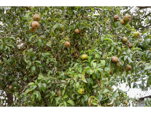 $729,900 | 35706 Northwest 14th Avenue, La Center, WA 98629