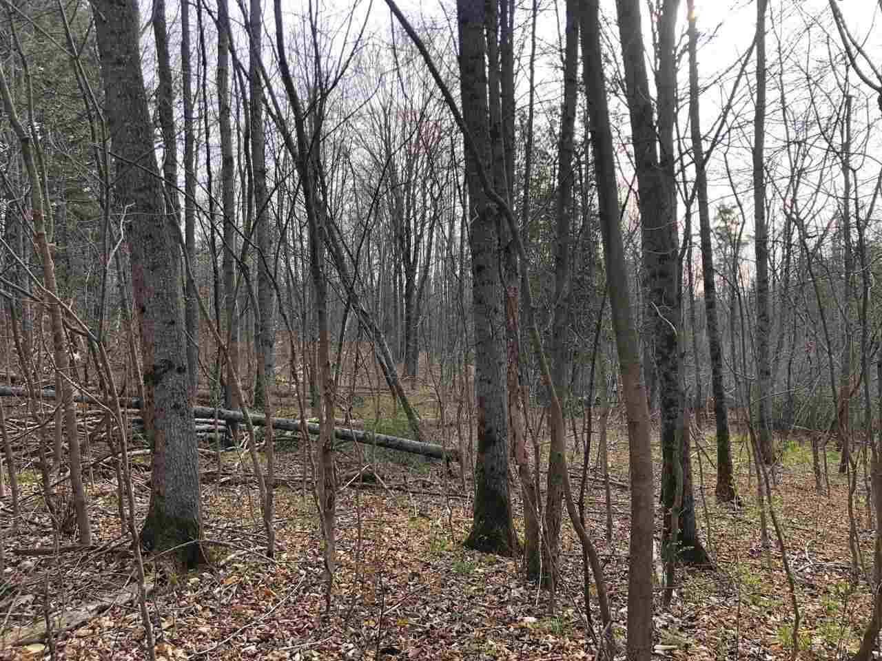 40-acres East Cranberry Lake Road Harrison, MI 48625 - Photo 19 of 21