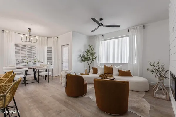 a living room with furniture potted plant and a window