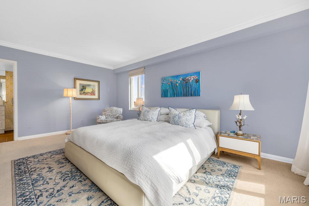 900 South Hanley Road, Unit 12E Clayton, MO 63105 - Photo 26 of 46