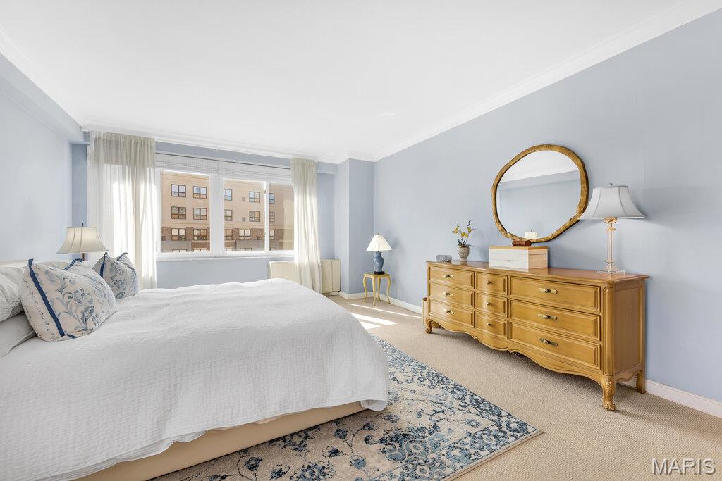 900 South Hanley Road, Unit 12E Clayton, MO 63105 - Photo 28 of 46