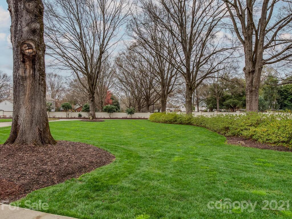 3422 Sharon Road Charlotte, NC 28211 - Photo 4 of 48 a view of a park with tree s