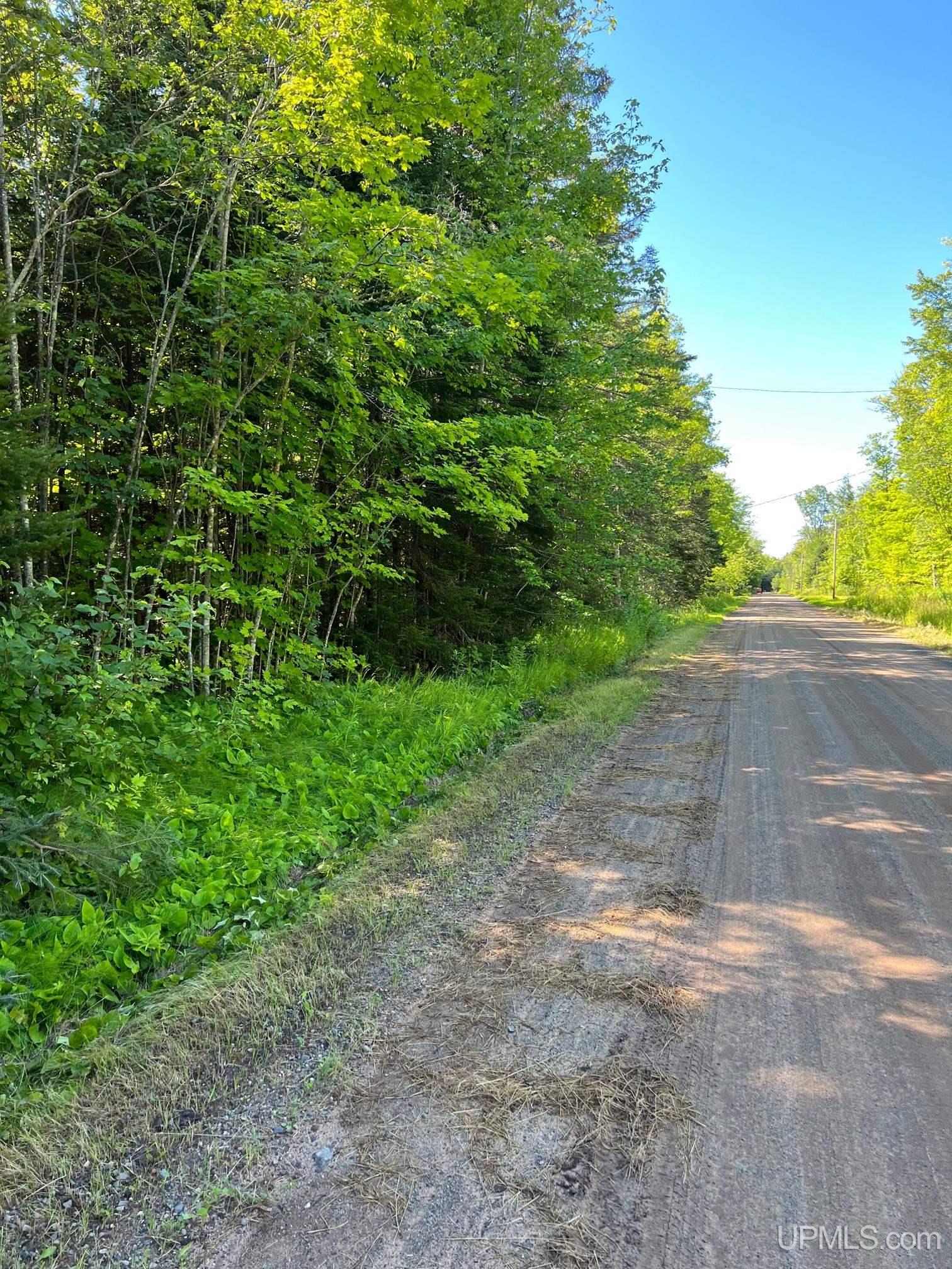 Tbd1 Tbd1 Des Rochers Road Pelkie, MI 49958 - Photo 23 of 24 Gallery Image 23