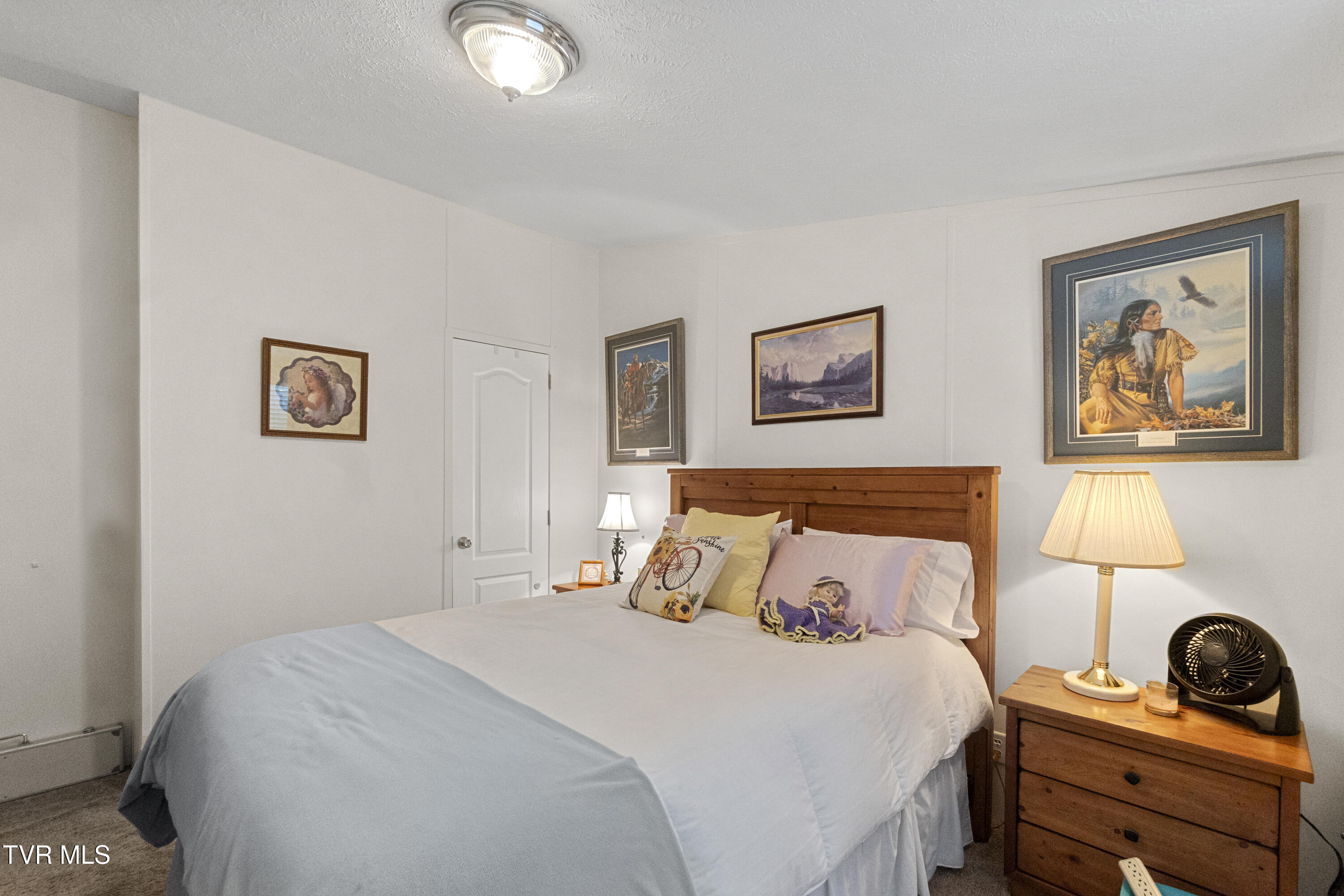 398 Teague Road Chuckey, TN 37641 - Photo 19 of 49 19