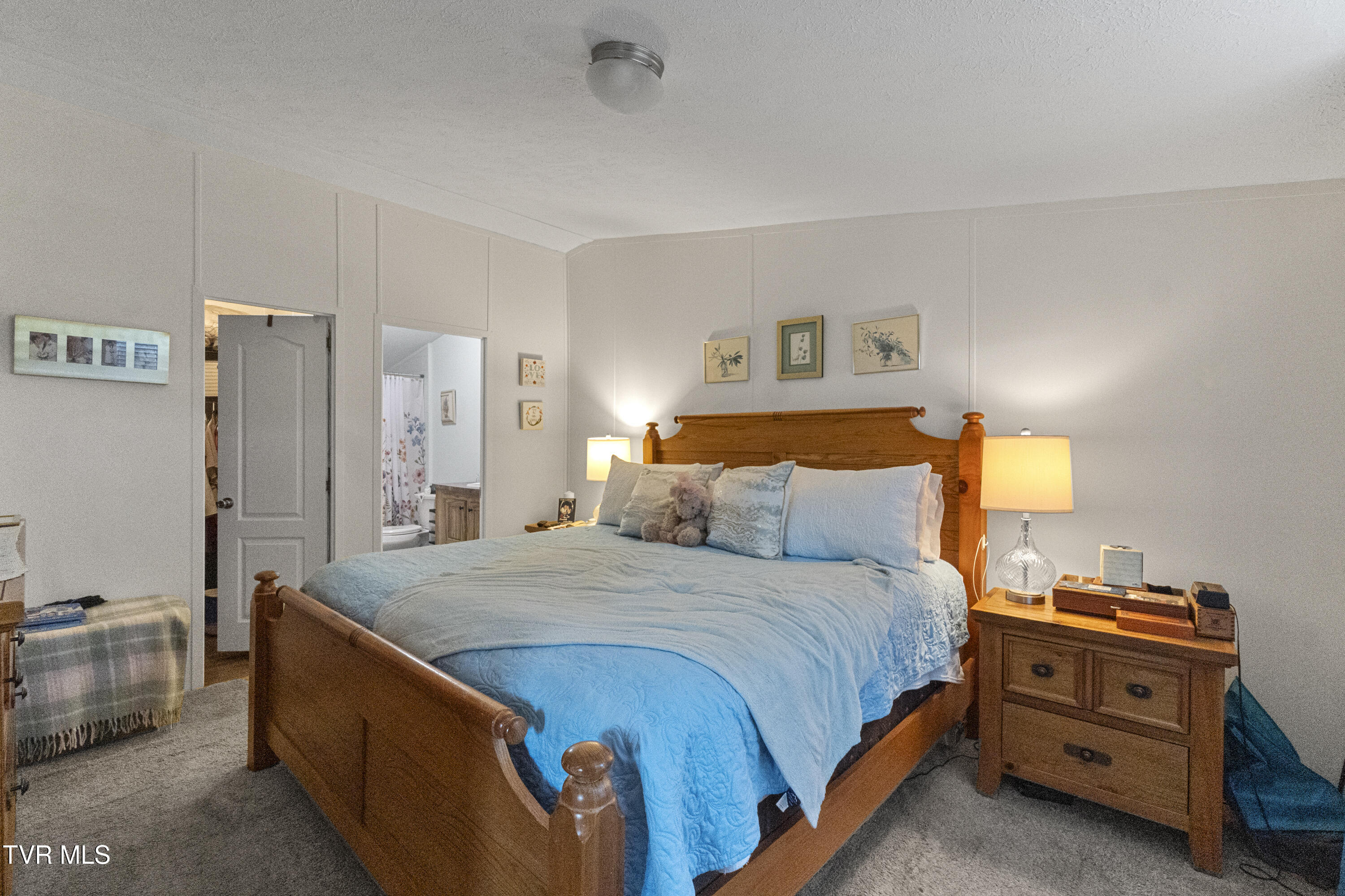 398 Teague Road Chuckey, TN 37641 - Photo 20 of 49 20