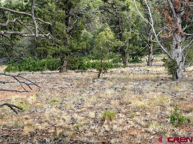 254 Waterview Cove Ridgway, CO 81432 - Photo 25 of 28