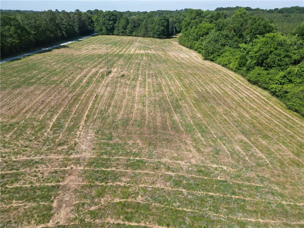 7875 Antioch Church Road Seagrove, NC 27341 - Photo 3 of 44