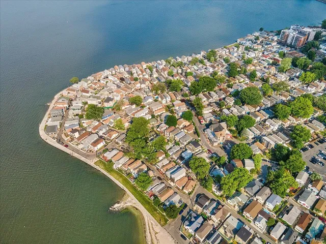 a close up of a plant in a pot