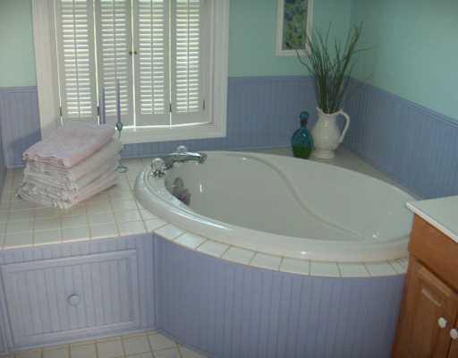 2062 Wood Road Shelocta, PA 15774 - Photo 5 of 8 Master Bath/Spa.