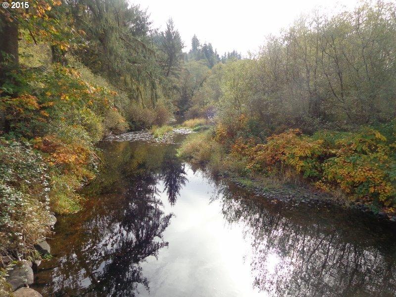 22505 Highway 101 South Beaver, OR 97112 - Photo 2 of 30 BeaverCreek3