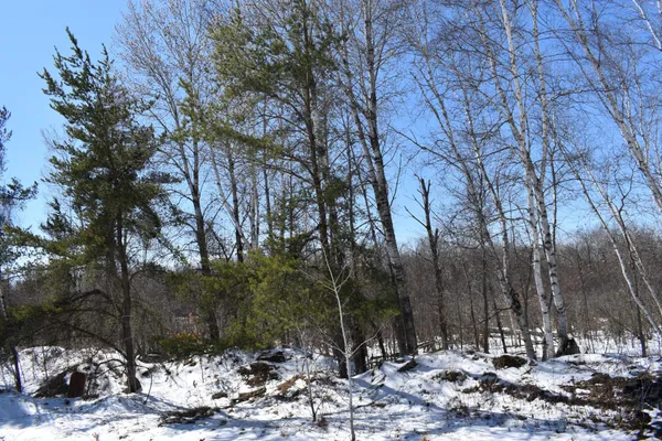 $154,900 | 15956 Hines Road, Brainerd, MN 56401